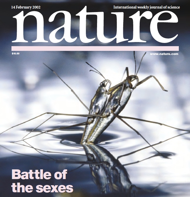 Cover of Nature magazine, 14 February 2002, "Battle of the Sexes," featuring mating water striders